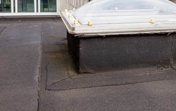 disadvantages of Pant Y Ffridd flat roofs
