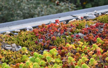 the cost of Pant Y Ffridd green roof installation