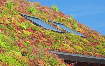 Pant Y Ffridd living roof systems