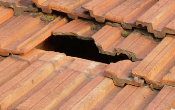 roof repair Pant Y Ffridd, Powys