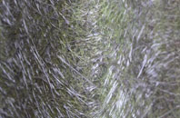 Pant Y Ffridd fibreglass roof work